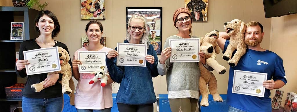 First-Aid-&-CPR-The-Complete-K9_2