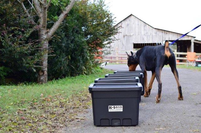 scent detection the complete k9 gallery (1)